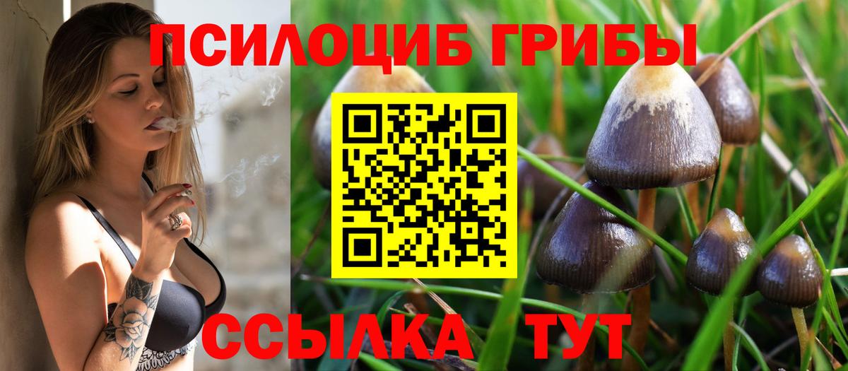 Псилоцибиновые грибы MAGIC MUSHROOMS  Вход с VPN  Тутаев 